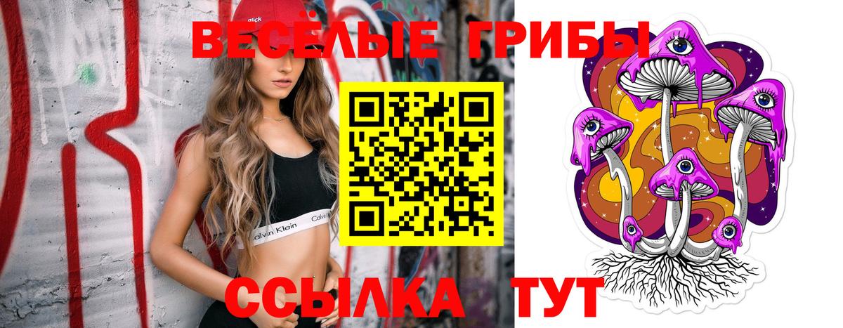 даркнет сайт  Вход с VPN  Улан-Удэ  Псилоцибиновые грибы прущие грибы 